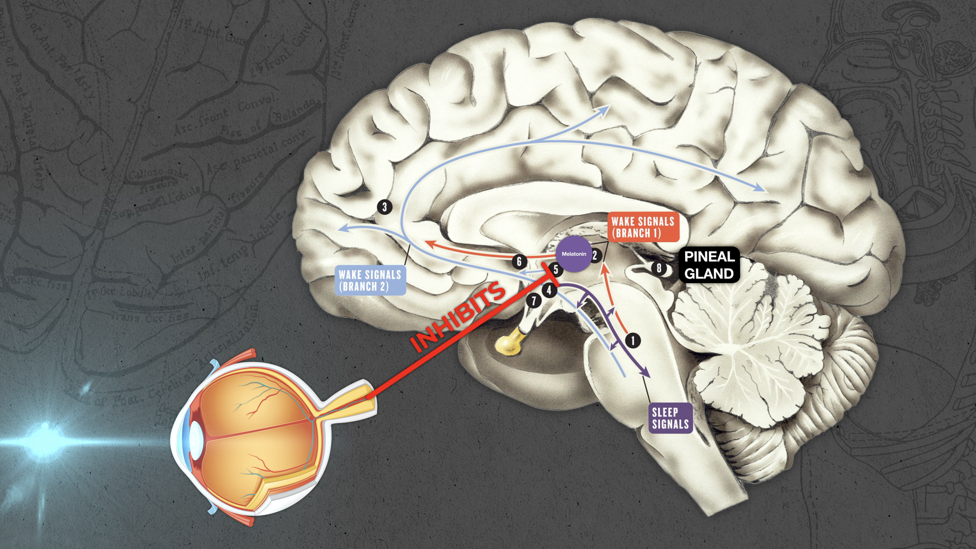 5 Small Changes to Improve Your Sleep