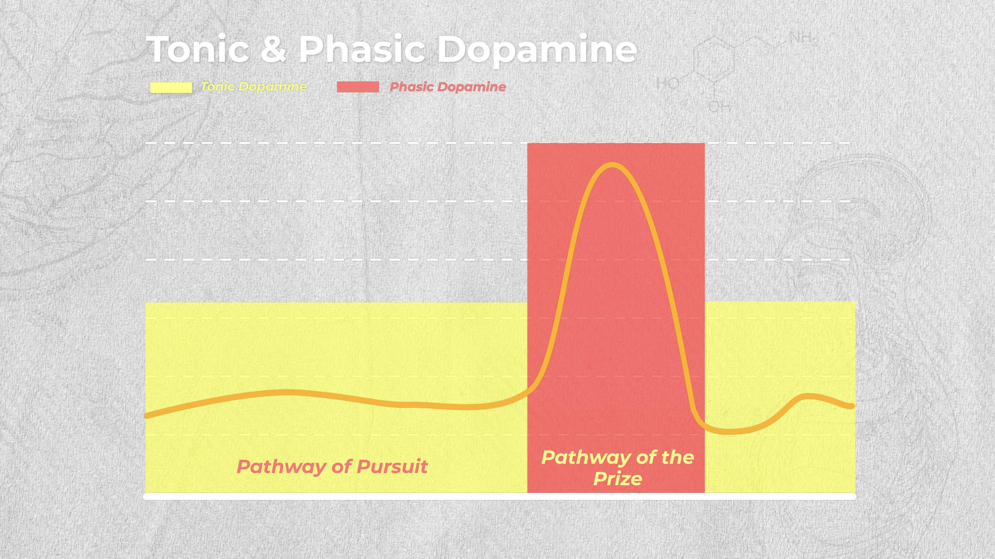 You're Not Lazy: The Neuroscience of Motivation